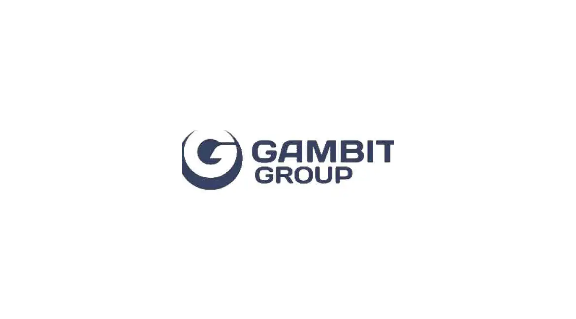 Gambit: Innovative Sealing Materials for Industrial Applications